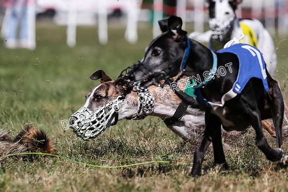 Prg 4, Race 2, Red Tipa Watson Sprig Carney-0102