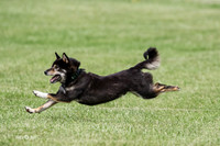 MCH76289