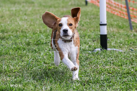 MCH72819