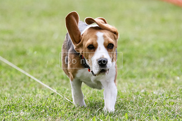 MCH72014