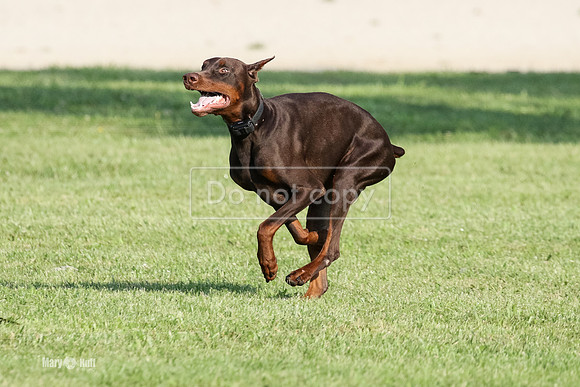 MCH75026