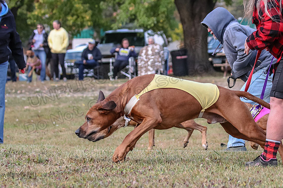 1 Prelims Fch 1 Ace Dakota Remmy-0252