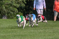 prg 1 race 2 Wallie Frankie Devo Sid Elsa-2861
