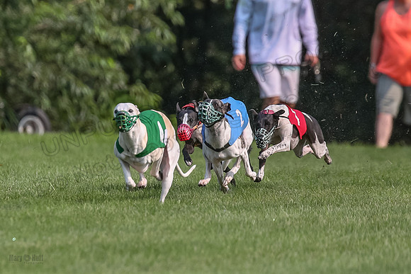 prg 1 race 2 Wallie Frankie Devo Sid Elsa-2861