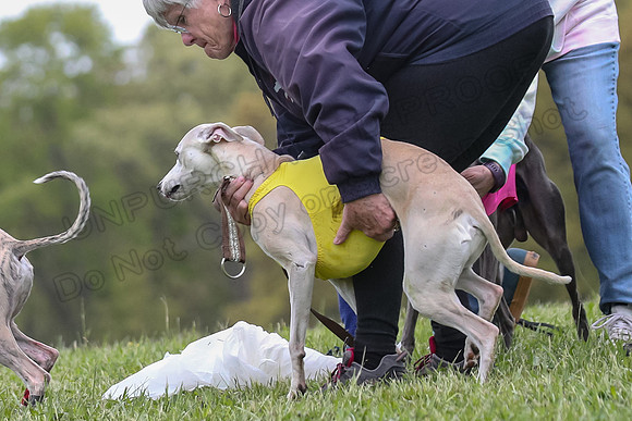 Finals Open C1, Oscar Strummer Rex-0661