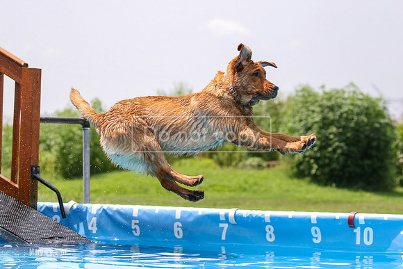 MCH79123