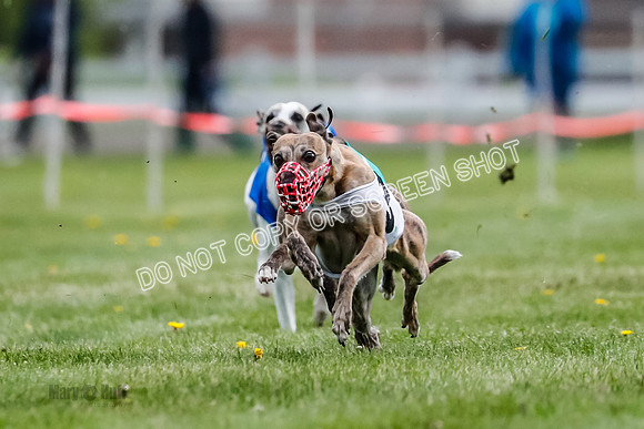 WRA, Prg 1, Race 5, Henry Eddie Deal Moki Feather Hit-8327