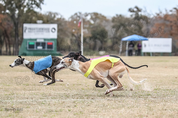 Finals Open 3 Scorch Shine Kashi-4018