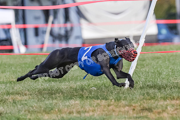 Prg 1, race 4, Rarity Hillary Barley Clyps-0644