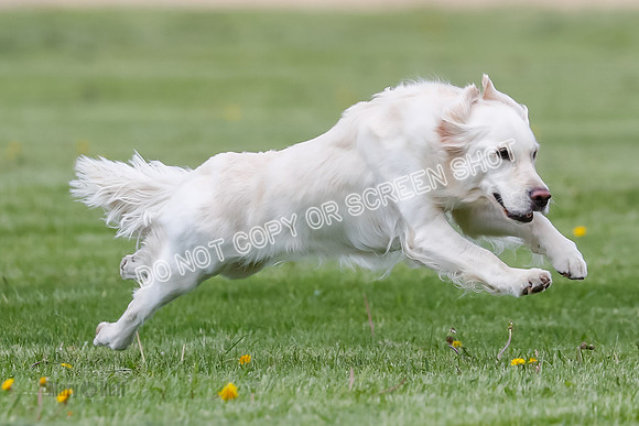Cat Test 1-9707