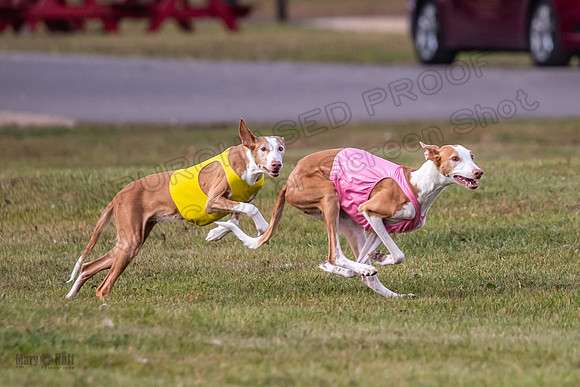 Finals Vet Izzy Thea-3280