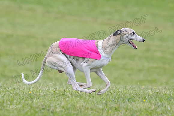 Prelim Open G2, Pixel Bumble Lzzy-9486