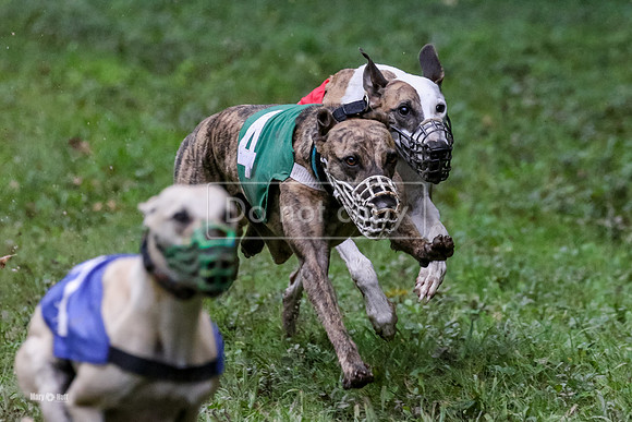 MCH70672