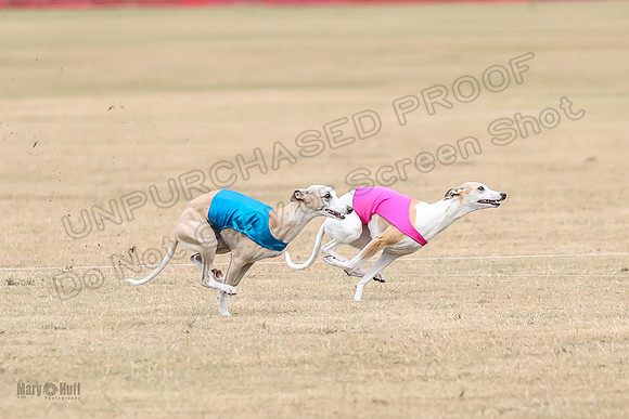 1Prelim Spec 1 Rapper Marlee Lace-3177