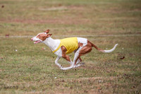 1 Prelims 1 Open 1 Jagger-5729