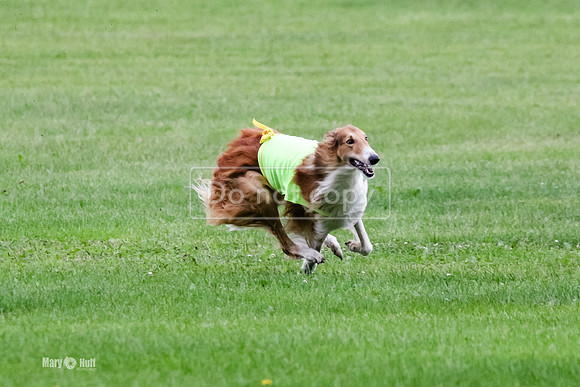 MCH71870-2  Finals Dory, Tosca