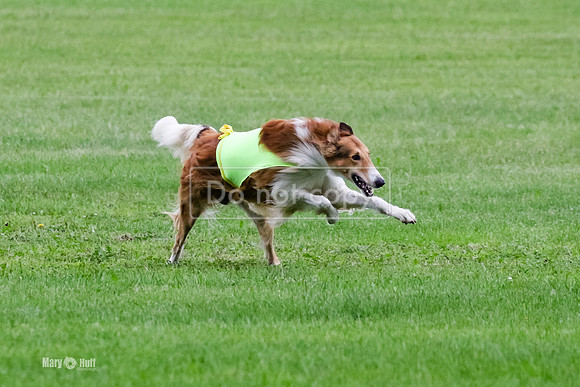 MCH71868-2  Finals Dory, Tosca
