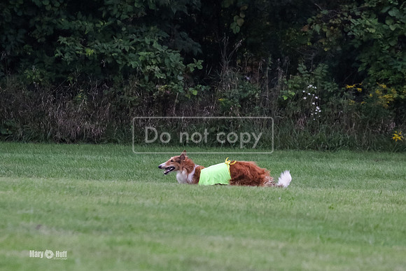 MCH71890  Finals Dory, Tosca