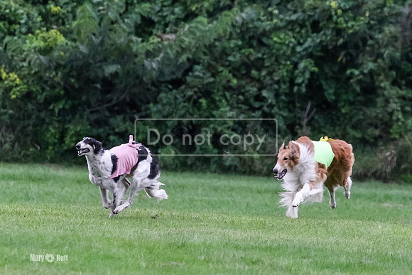 MCH71897  Finals Dory, Tosca