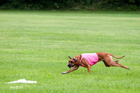 MCH50412  Prelims Carolina, Winter, Sergeant