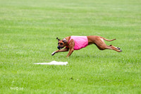 MCH50414  Prelims Carolina, Winter, Sergeant
