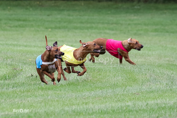MCH71214  Prelims Jinx, Libby, Rauri