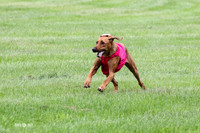 MCH71227  Prelims Jinx, Libby, Rauri