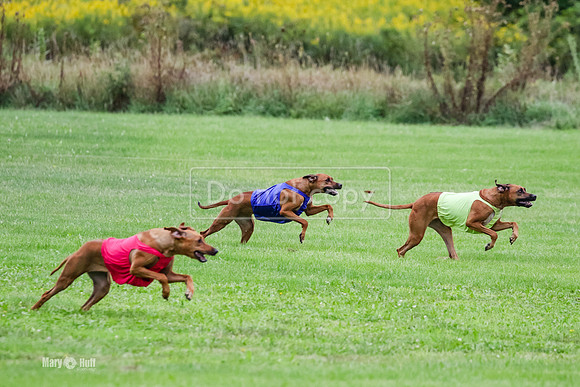 MCH71738  Finals Winter, Libby, Lacy