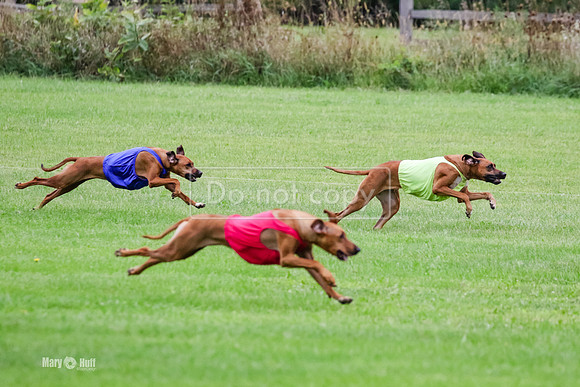 MCH71740  Finals Winter, Libby, Lacy