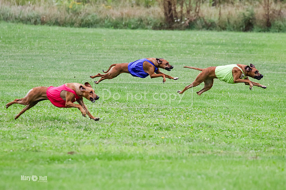 MCH71735  Finals Winter, Libby, Lacy