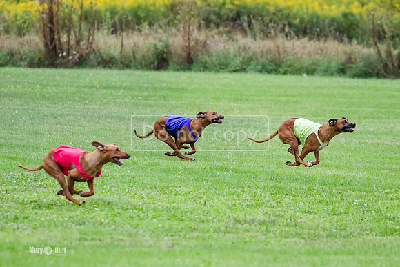 MCH71737  Finals Winter, Libby, Lacy
