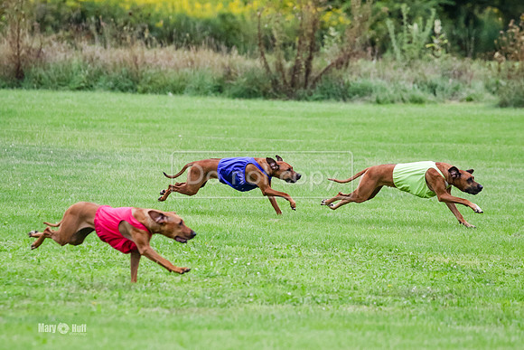 MCH71739  Finals Winter, Libby, Lacy