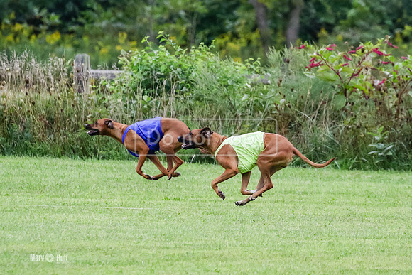 MCH71773  Finals Winter, Libby, Lacy