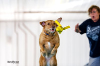 MCH50741