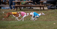 1 Prelims Fch 1 Penny Jadis Willow-5750