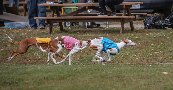 1 Prelims Fch 1 Penny Jadis Willow-5750