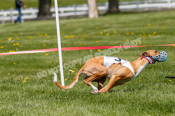 NOTRA Program 3, Race 4, Maybe Power Flora Clyps-2-10