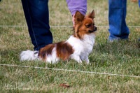 IMG_0671