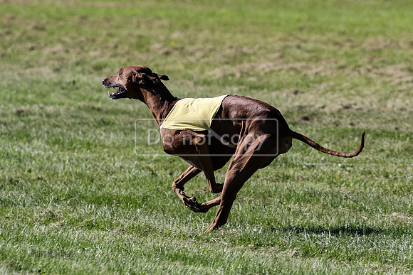 MCH70820