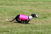 MCH70639  Seeker, Midnight, Roxie