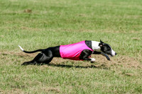 MCH70637  Seeker, Midnight, Roxie