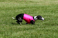 MCH70641  Seeker, Midnight, Roxie