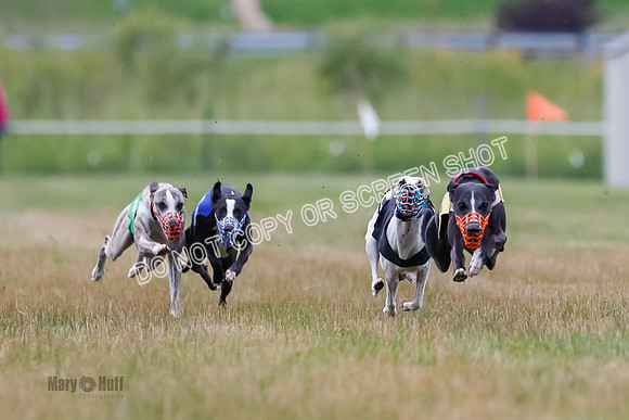 Prg 3, Race 4, Rowan-Jett-Blaze-Shimmy-Bogie-1115
