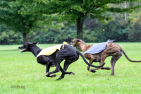 MCH72258   Buck, Seger, Dave