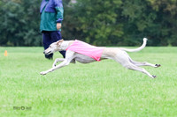 MCH71813  Jessirah, Lily