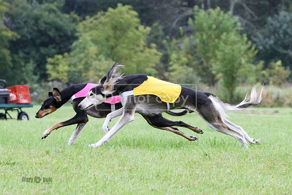 MCH71835  Akamai, Jamilah