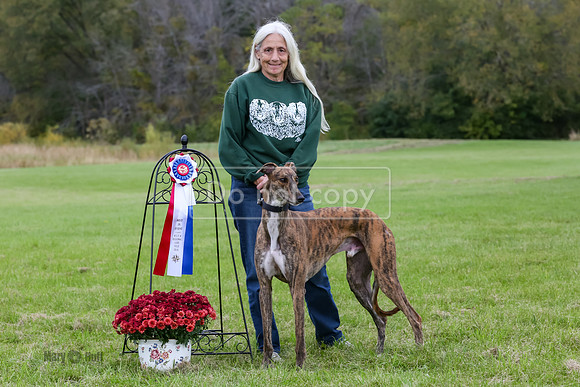 MCH52696