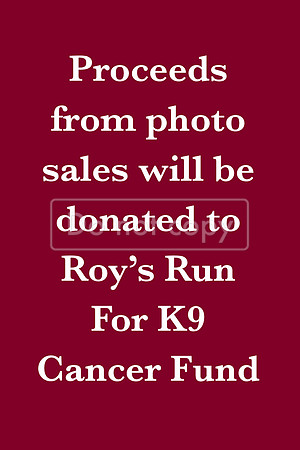 Roy's Run