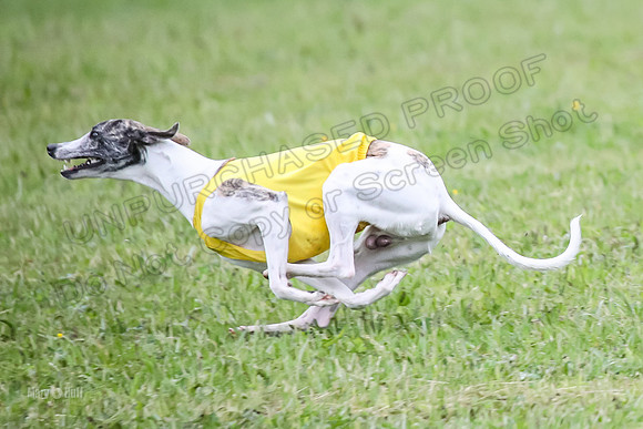 Prelim Open E1, Rip Mateo Maverick-9030