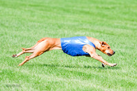 Rhodesian Ridgeback Prelim, Kya Eve Iris-0865